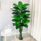 Cây Vạn Niên Thanh Giả Đẹp Như Thật